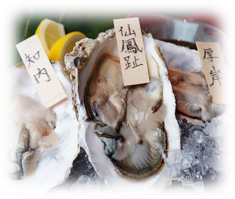 【北海道の生牡蠣を味わえる！】焼牡蠣・生牡蠣・海鮮料理も充実しております！